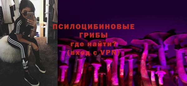 гидра Балахна