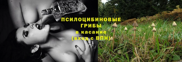 гидра Балахна
