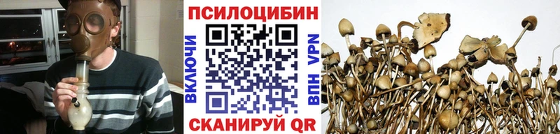 Псилоцибиновые грибы мицелий  Новочеркасск 